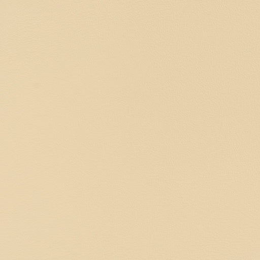 Charlotte - V333 - Cream - Fabric by the Yard Cream