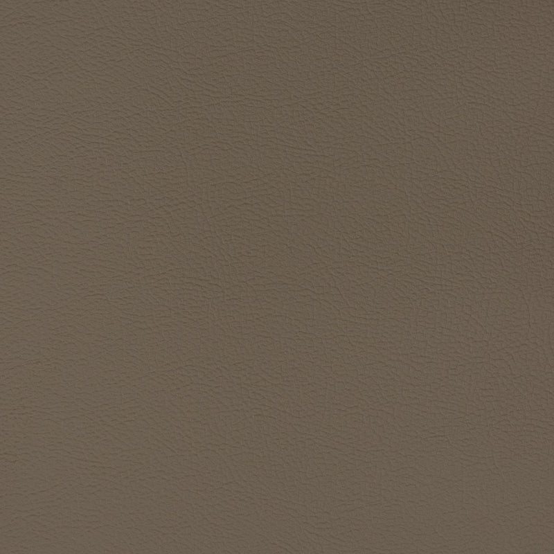 Charlotte - V338 - Mink - Fabric by the Yard Mink