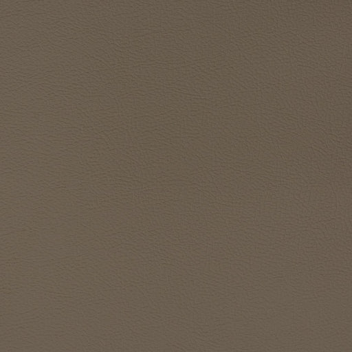 Charlotte - V338 - Mink - Fabric by the Yard Mink