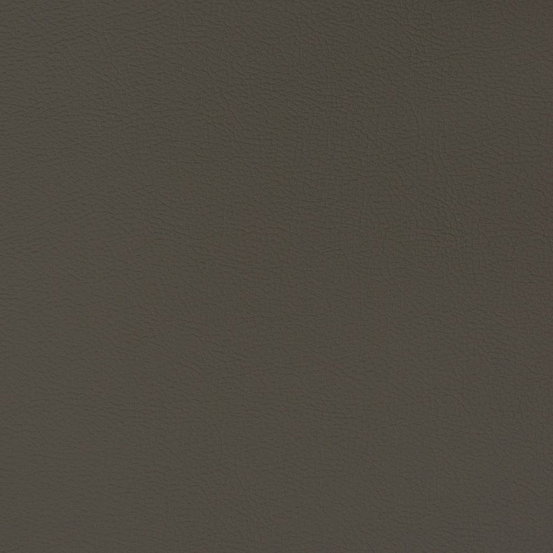 Charlotte - V339 - Flint - Fabric by the Yard Flint