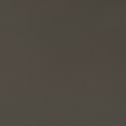 Charlotte - V339 - Flint - Fabric by the Yard Flint
