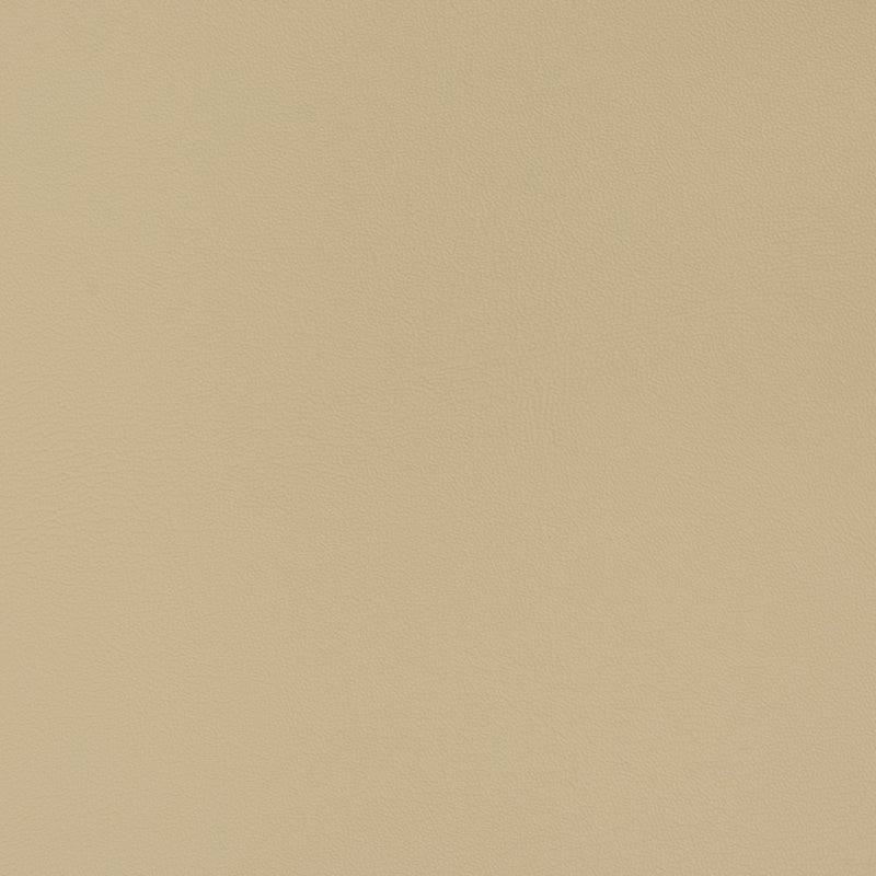 Charlotte - V340 - Neutral - Fabric by the Yard Neutral