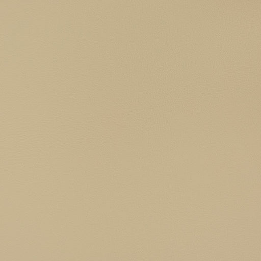 Charlotte - V340 - Neutral - Fabric by the Yard Neutral