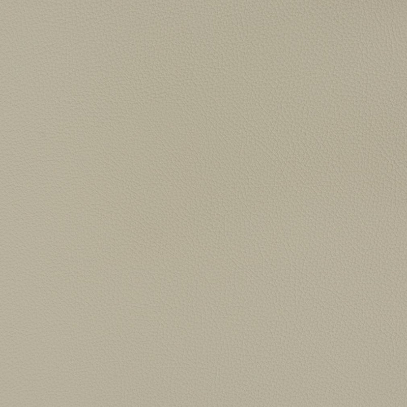 Charlotte - V341 - Chrome - Fabric by the Yard Chrome