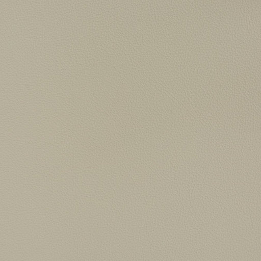 Charlotte - V341 - Chrome - Fabric by the Yard Chrome