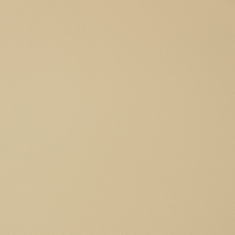 Charlotte - V342 - Parchment - Fabric by the Yard Parchment