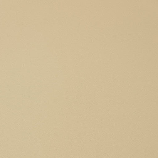 Charlotte - V342 - Parchment - Fabric by the Yard Parchment