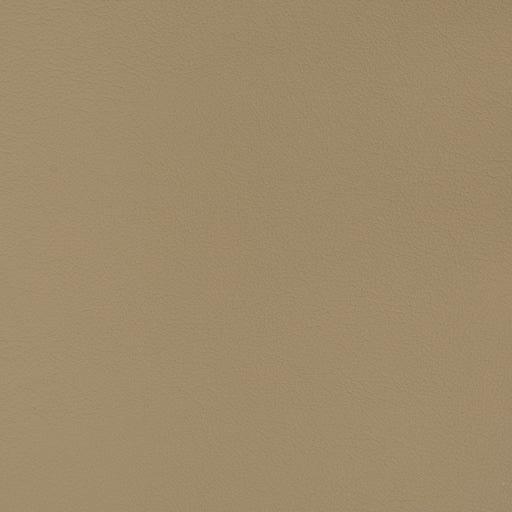 Charlotte - V344 - Cappuccino - Fabric by the Yard Cappuccino