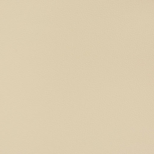 Charlotte - V346 - Sand Dollar - Fabric by the Yard Sand Dollar