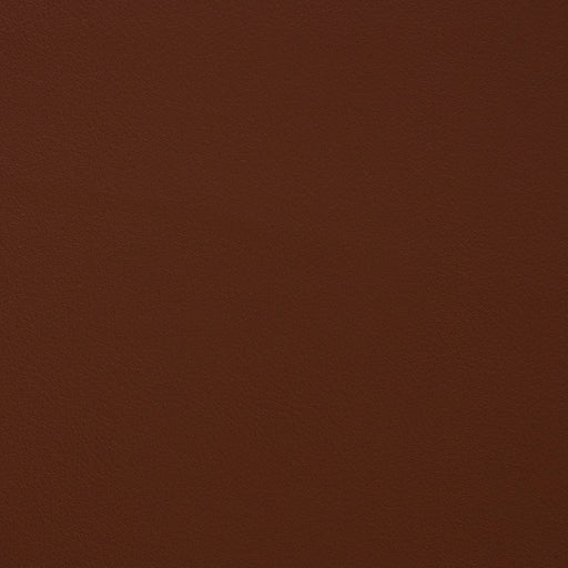Charlotte - V357 - Canyon - Fabric by the Yard Canyon