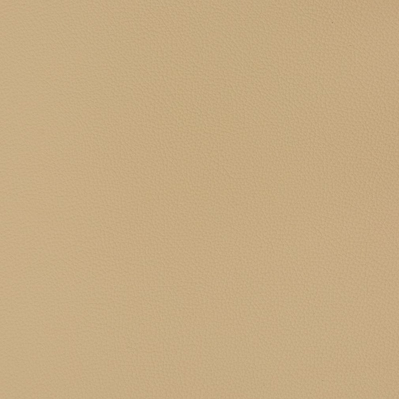 Charlotte - V363 - Cashmere - Fabric by the Yard Cashmere