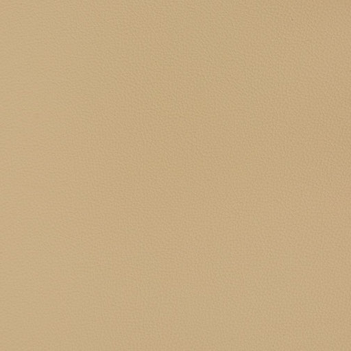 Charlotte - V363 - Cashmere - Fabric by the Yard Cashmere