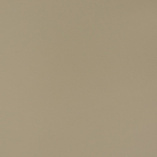 Charlotte - V365 - Smoke - Fabric by the Yard Smoke