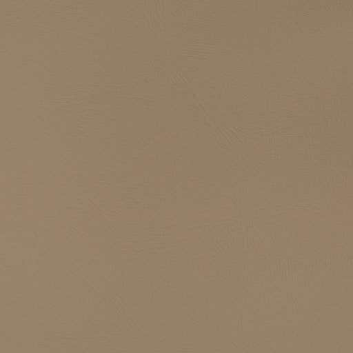 Charlotte - V369 - Hazelnut - Fabric by the Yard Hazelnut