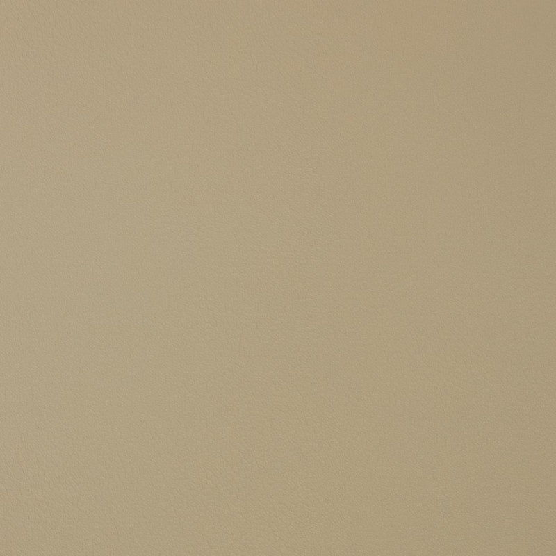Charlotte - V372 - Bisque - Fabric by the Yard Bisque