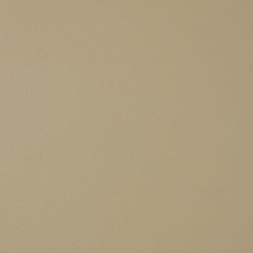 Charlotte - V372 - Bisque - Fabric by the Yard Bisque