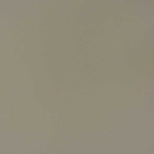 Charlotte - V380 - Storm - Fabric by the Yard Storm