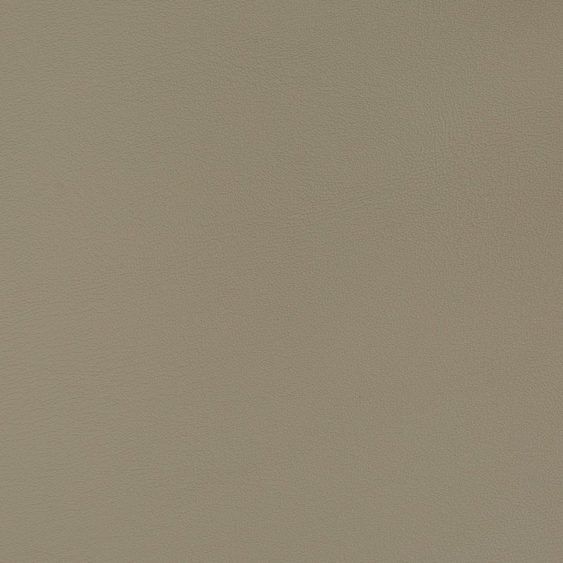 Charlotte - V383 - Anchor - Fabric by the Yard Anchor