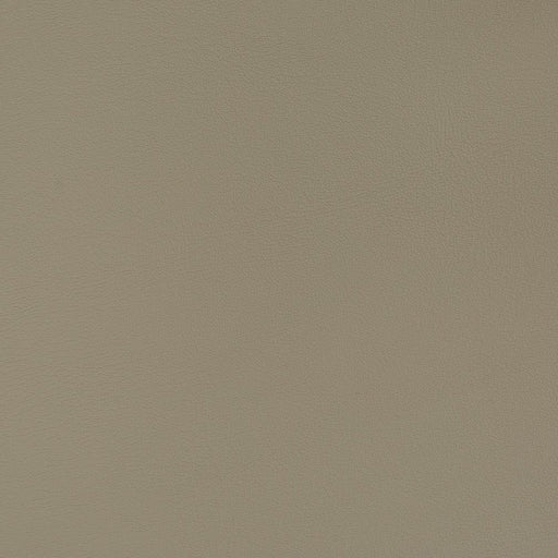 Charlotte - V383 - Anchor - Fabric by the Yard Anchor
