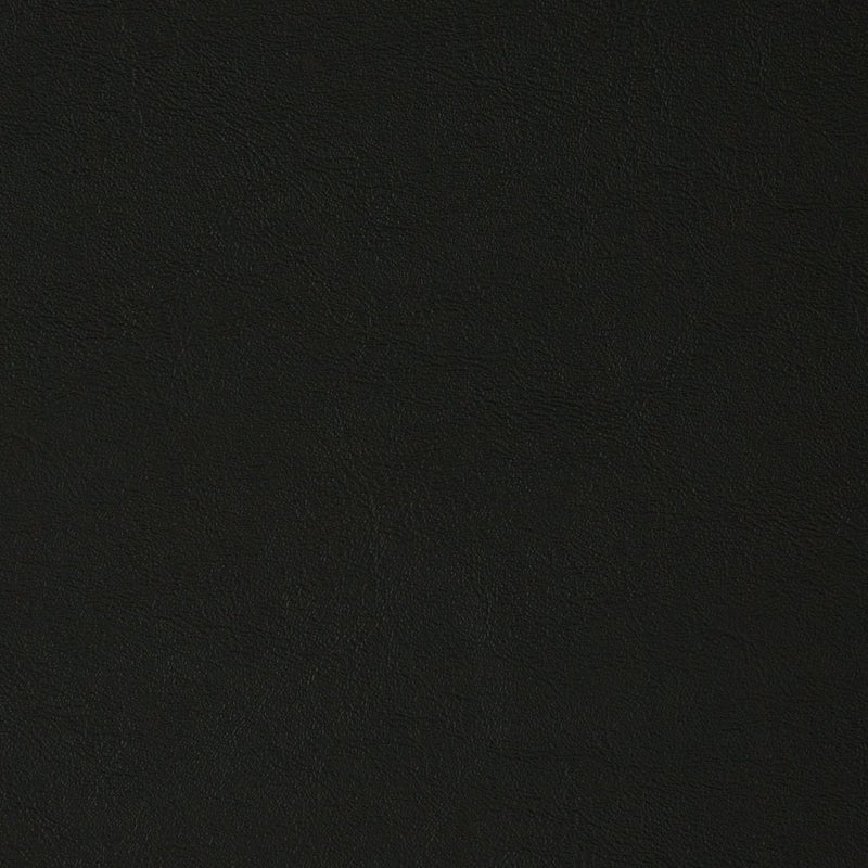 Charlotte - V384 - Jet - Fabric by the Yard Jet