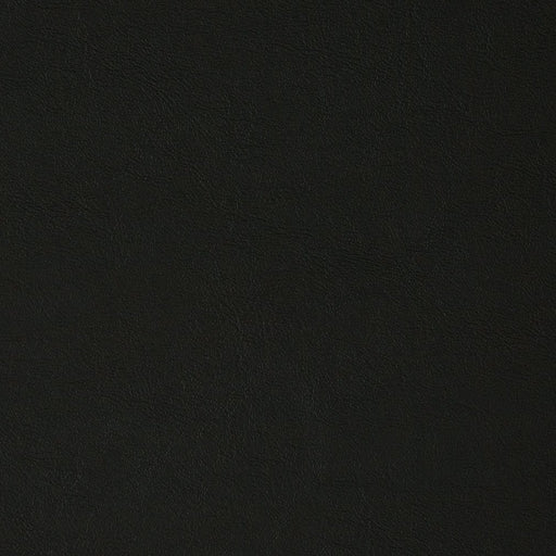 Charlotte - V384 - Jet - Fabric by the Yard Jet