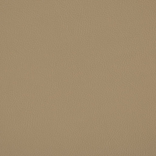 Charlotte - V385 - Hazelwood - Fabric by the Yard Hazelwood