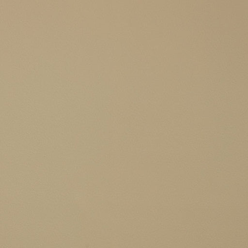 Charlotte - V389 - Natural - Fabric by the Yard Natural