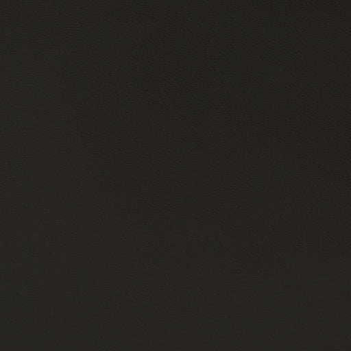 Charlotte - V390 - Black - Fabric by the Yard Black