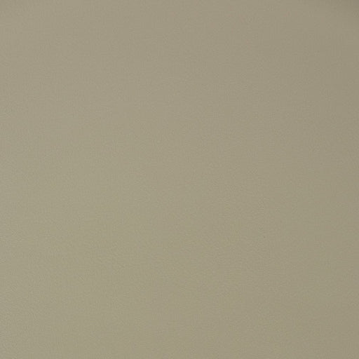Charlotte - V391 - Putty - Fabric by the Yard Putty