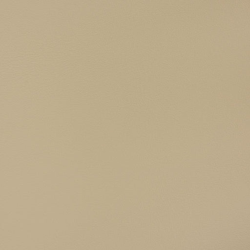 Charlotte - V393 - Taupe - Fabric by the Yard Taupe