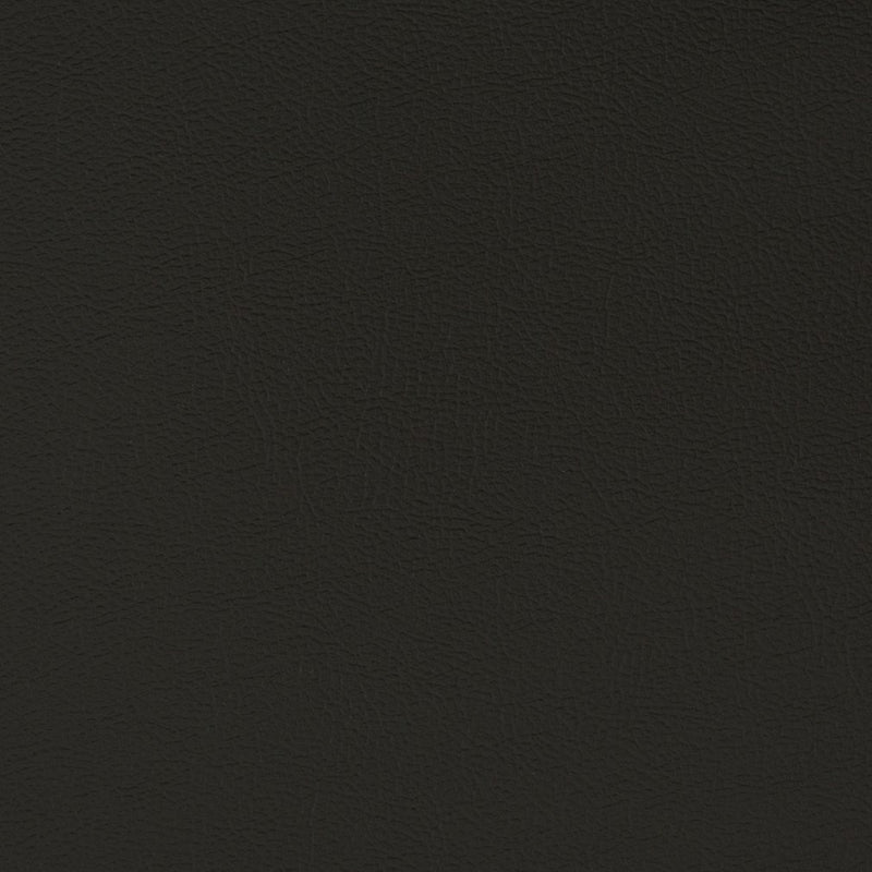 Charlotte - V395 - Ebony - Fabric by the Yard Ebony
