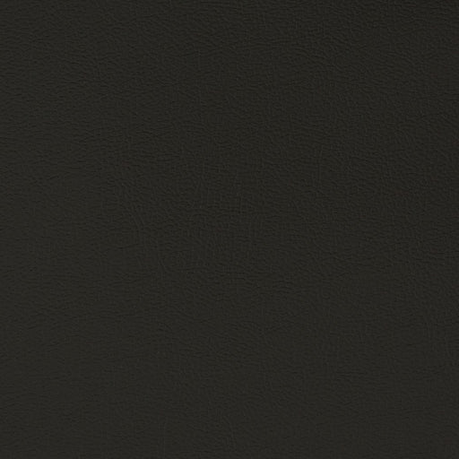 Charlotte - V395 - Ebony - Fabric by the Yard Ebony