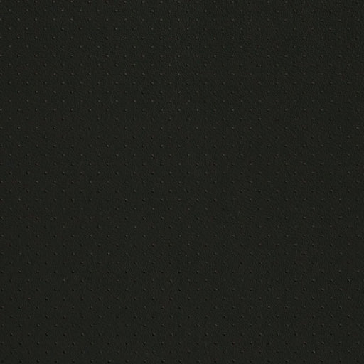 Charlotte - V406 - Black Perforated - Fabric by the Yard Black Perforated