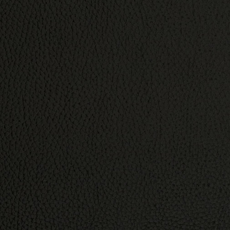 Charlotte - V423 - Onyx - Fabric by the Yard Onyx