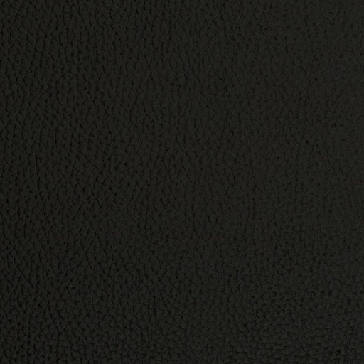 Charlotte - V423 - Onyx - Fabric by the Yard Onyx