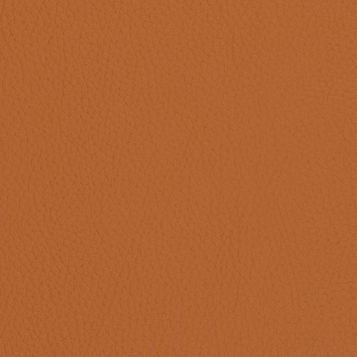 Charlotte - V427 - Burnt Sienna - Fabric by the Yard Burnt Sienna