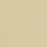 Charlotte - V428 - Ivory - Fabric by the Yard
