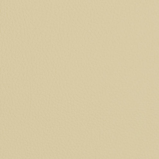 Charlotte - V428 - Ivory - Fabric by the Yard Ivory