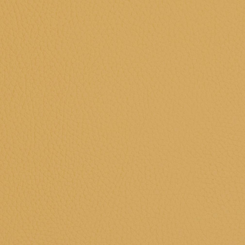 Charlotte - V429 - Sand Dollar - Fabric by the Yard Sand Dollar