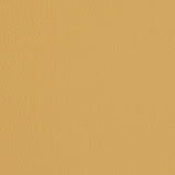 Charlotte - V429 - Sand Dollar - Fabric by the Yard