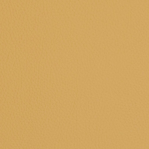 Charlotte - V429 - Sand Dollar - Fabric by the Yard Sand Dollar