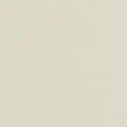 Charlotte - V430 - Oyster - Fabric by the Yard Oyster