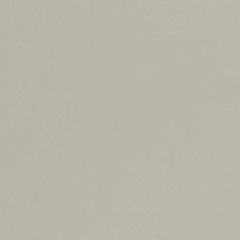 Charlotte - V435 - Cloud - Fabric by the Yard Cloud