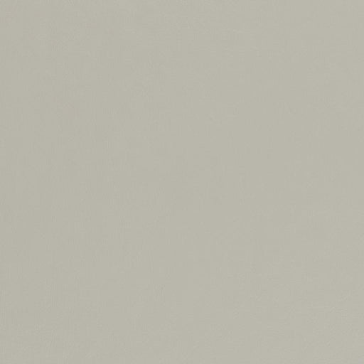 Charlotte - V435 - Cloud - Fabric by the Yard Cloud
