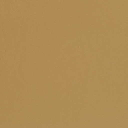 Charlotte - V436 - Sand Dune - Fabric by the Yard Sand Dune