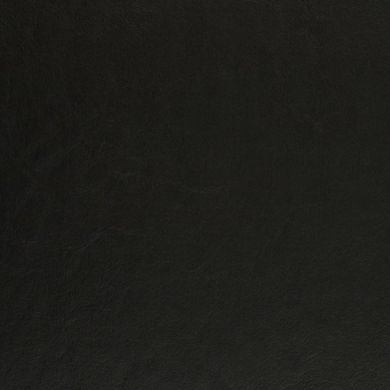 Charlotte - V437 - Black - Fabric by the Yard Black