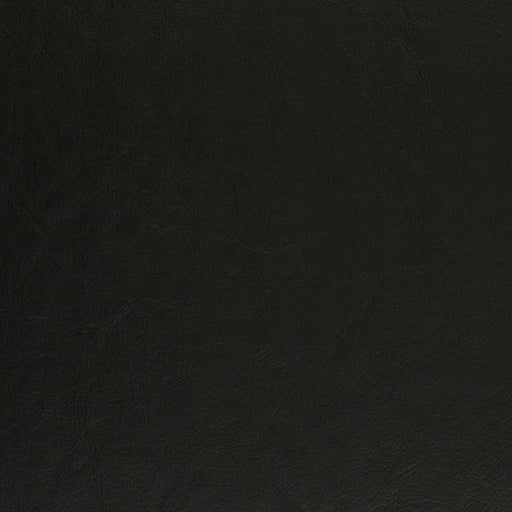 Charlotte - V437 - Black - Fabric by the Yard Black