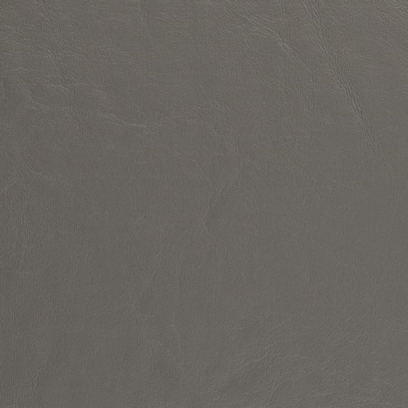 Charlotte - V439 - Anchor - Fabric by the Yard Anchor
