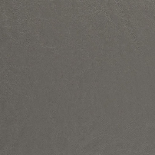 Charlotte - V439 - Anchor - Fabric by the Yard Anchor