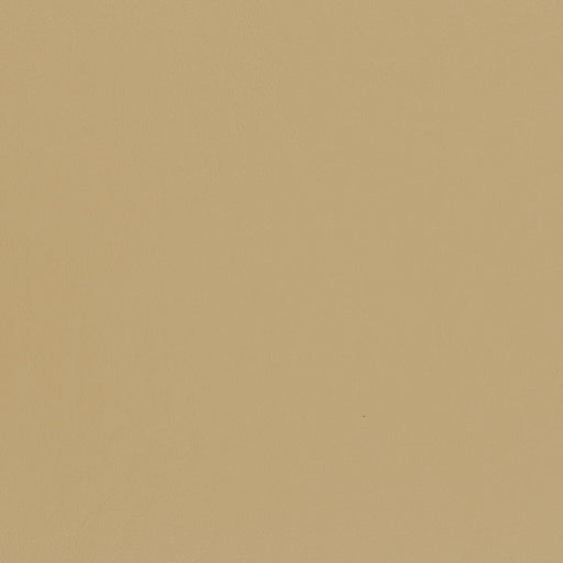 Charlotte - V440 - Sand - Fabric by the Yard Sand